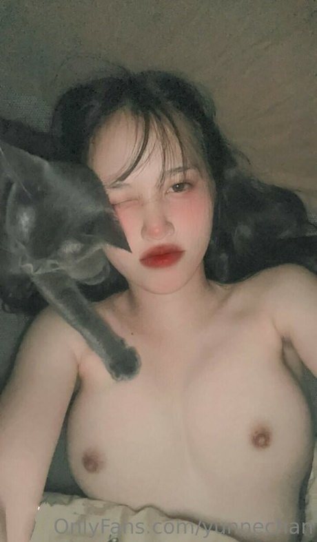 yunnechan nude pornstar galleries