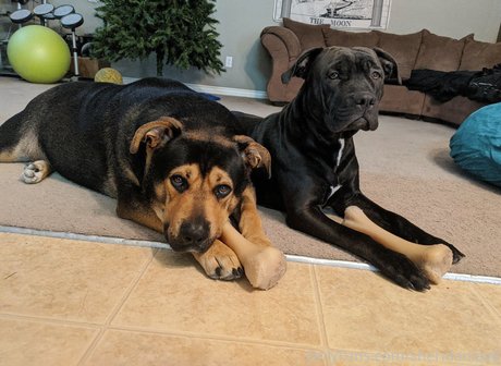 sheridanlove art actress img