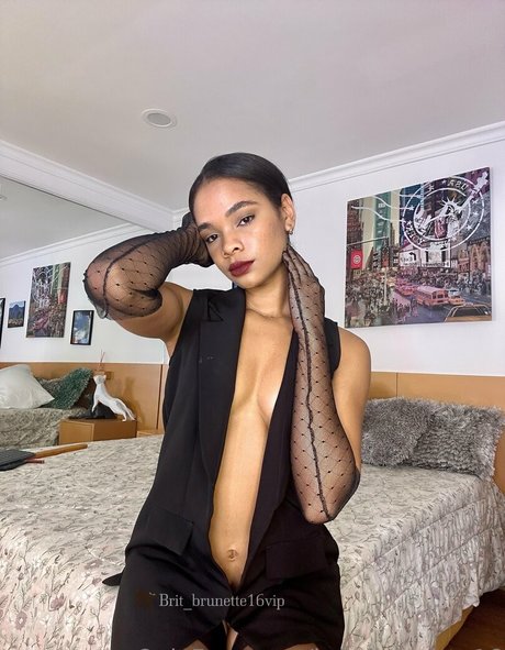 brit brunette16 free pornstar galleries