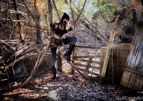 skullcandybri model perfect picture