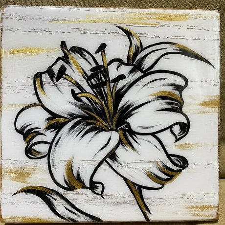 hairy bbw onlyfans pornographic img