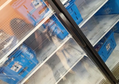 wetkitten666 top actress photos