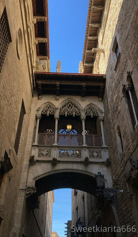 blonde shemale onlyfans perfect gallery