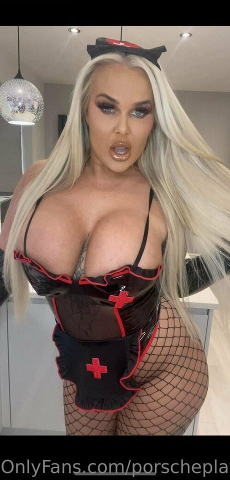 Porscheplatinum sex star image