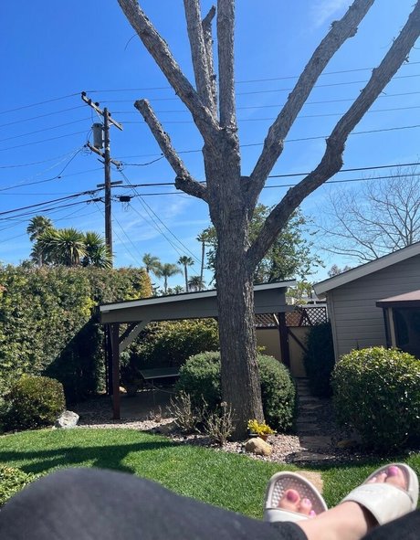 Kelsey Remige pornographic star picture