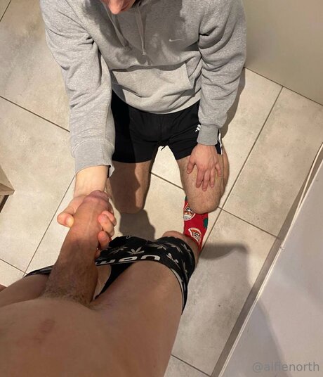 alfienorthfree model nice image