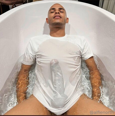 alfienorthfree pornstar perfect archive