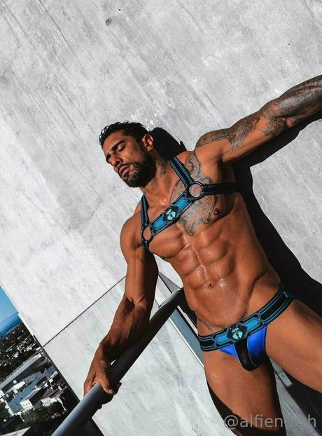 alfienorthfree star porn photos