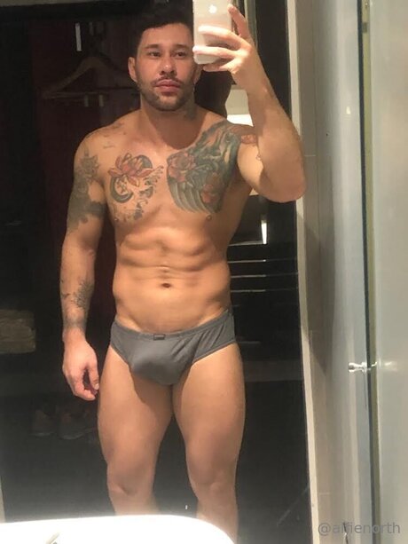 alfienorthfree naked actress image