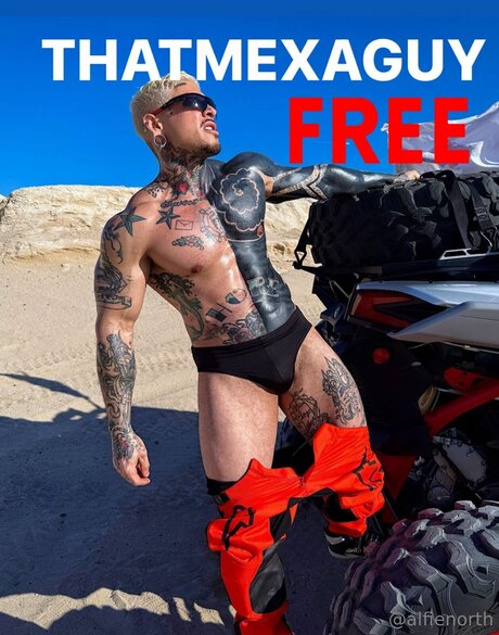 alfienorthfree model nude image