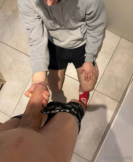 alfienorthfree porn model pics