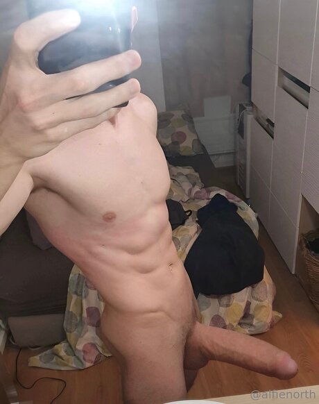 alfienorthfree nice pornstar galleries