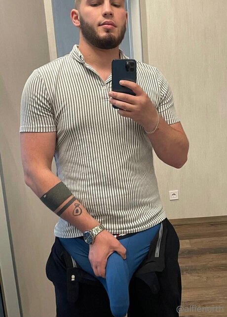 alfienorthfree art star archive