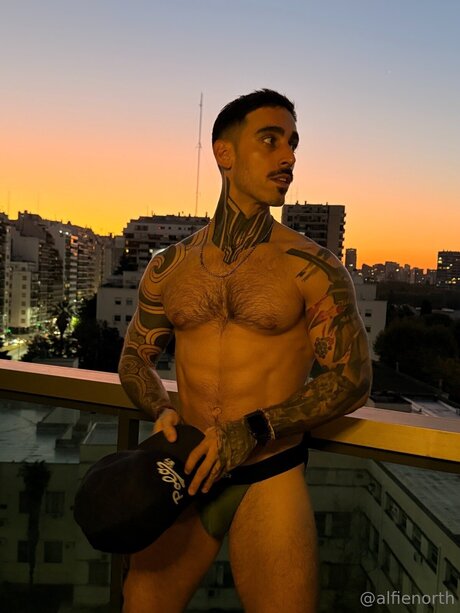 alfienorthfree pornstar pretty pics