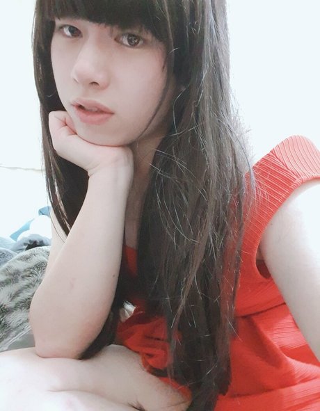 Thetsjessie star perfect img