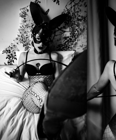 dtp lt model best pics