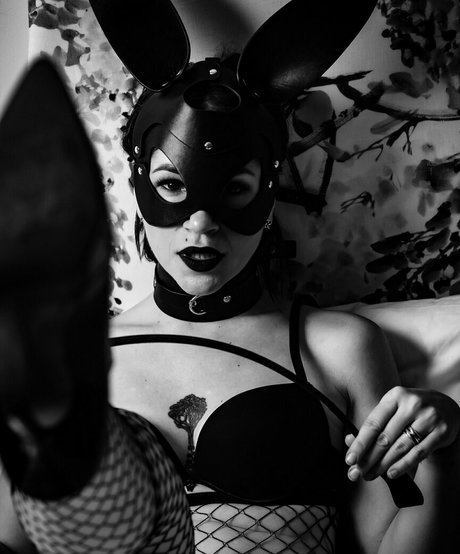 dtp lt high quality star pic