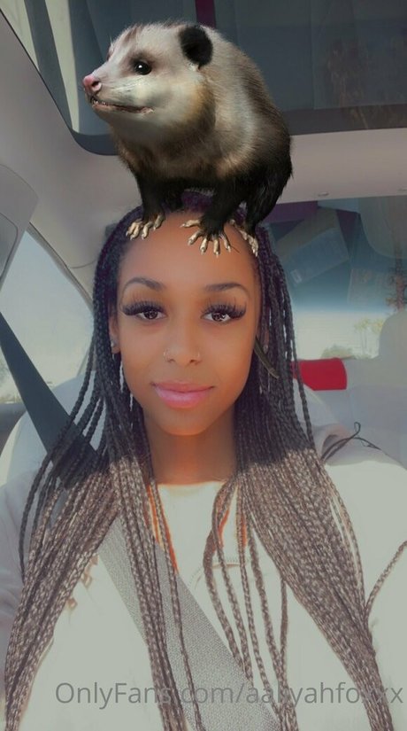 aaliyahfoxxx free pornstar archive