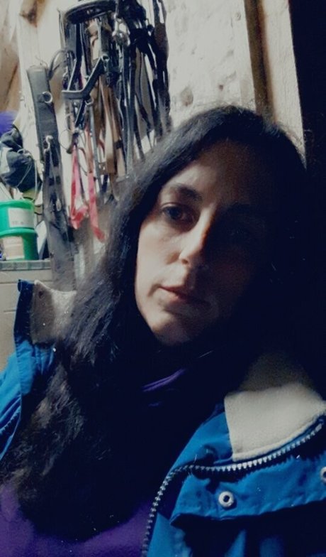 Piella Bakewell star galleries