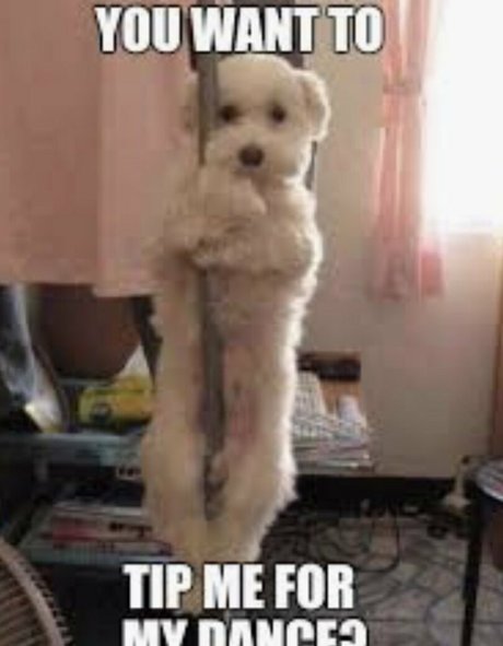 deonshea love star top images