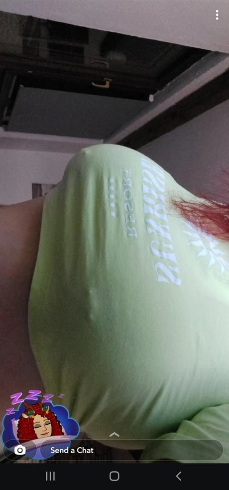 Bjelovar Krizevci_ model pretty picture