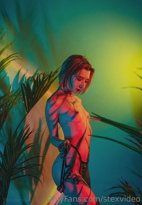 stexvideo art actress photo