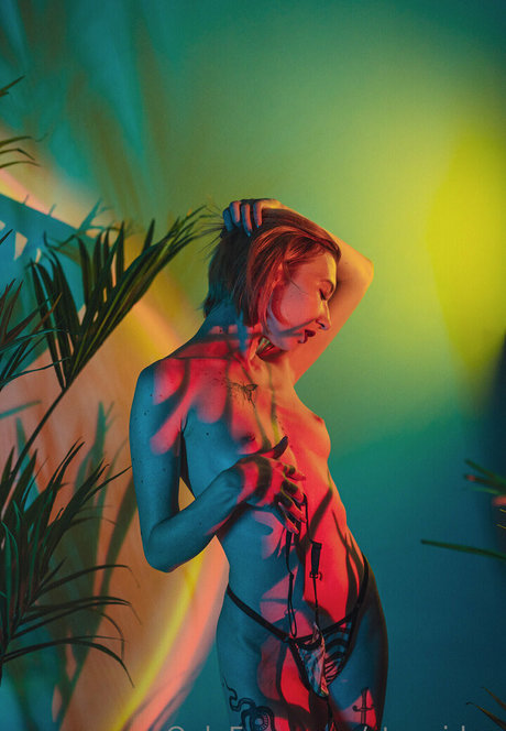 stexvideo top pornstar images