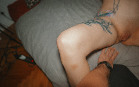 stexvideo hd pornstar images