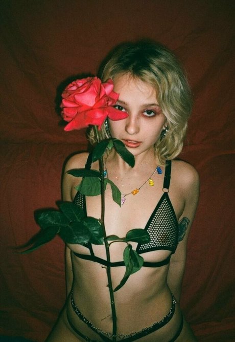 littleveraaa exclusive pornstar pictures