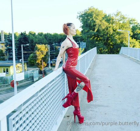 purple butterfly star high quality galleries