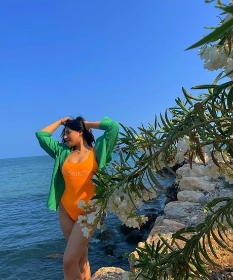 sareelle adult actress archive