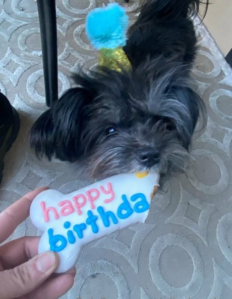 beautiful bbw onlyfans hot xxx img