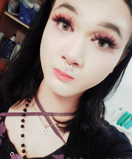 addiroll star hot pictures