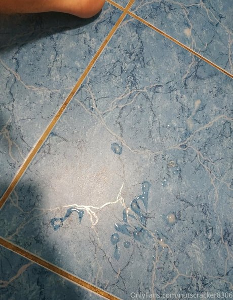 nutscracker8306 star top images