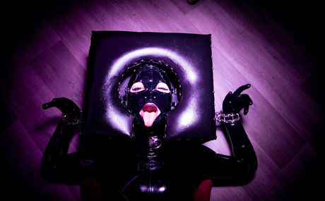 ilegalfree hd star image