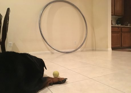 vanessablue pornstar nice gallery