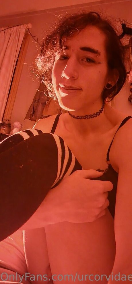 urcorvidae model sex pic