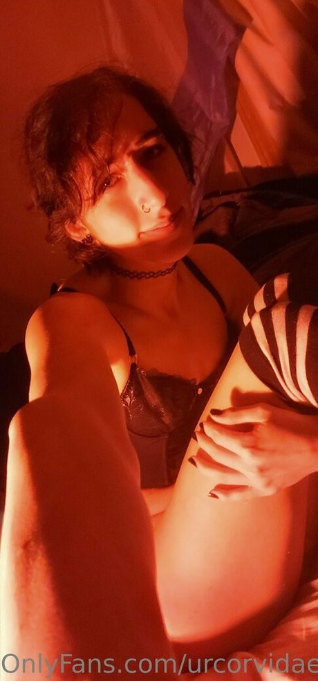 urcorvidae nice actress images