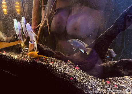 gloryhole onlyfans sexy galleries