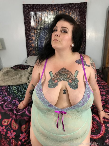 Felyx the Cat pornstar best images