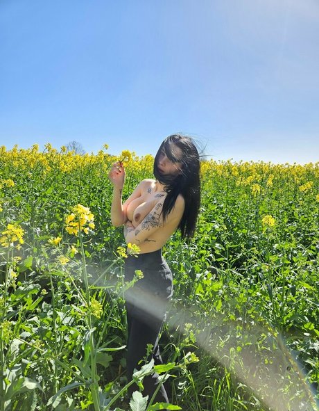 brittanyolivia star sex galleries