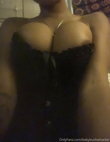 Baby Bush Whacker pornstar nudes img