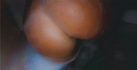 natttyb model picture