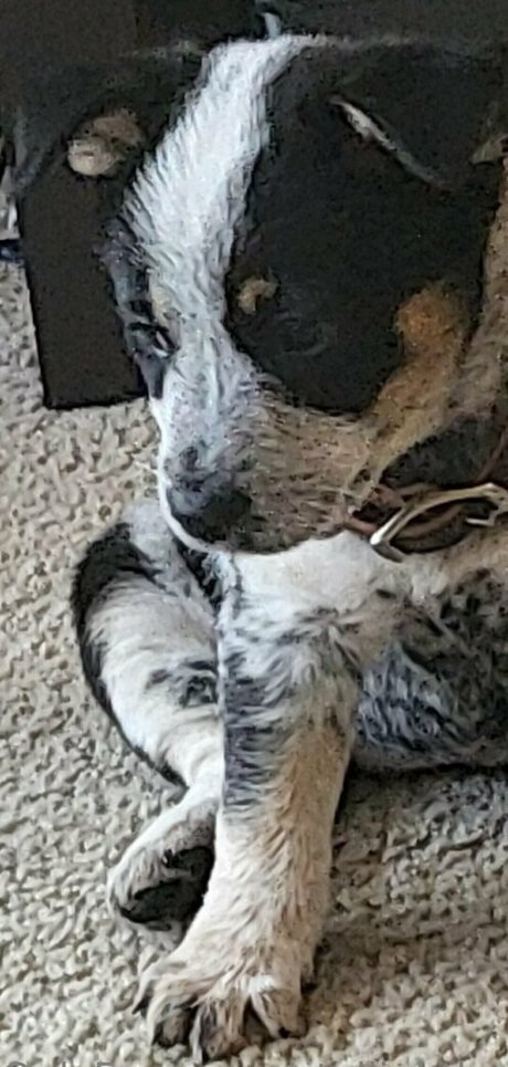 dirty talk joi onlyfans free sex picture