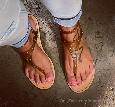 mamashlee1 pornstar art archive