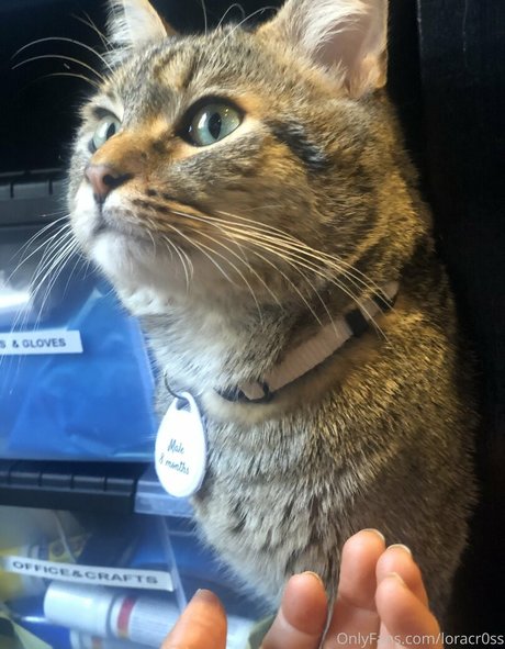 fitness xxx onlyfans hot sexy pic