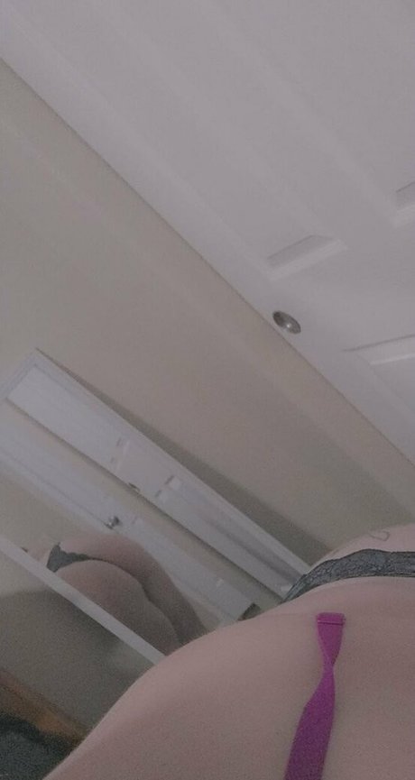 lanicat1 best model images