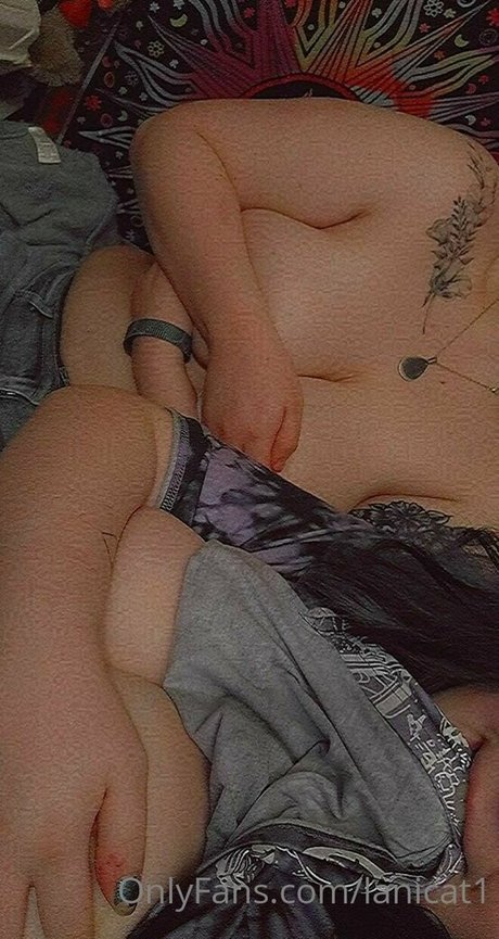 lanicat1 star nice gallery