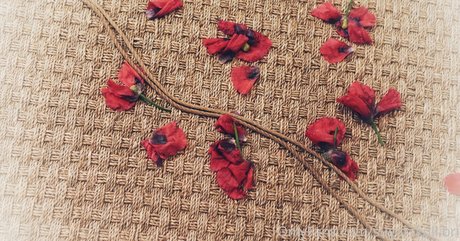 sugarskull bri star hot picture