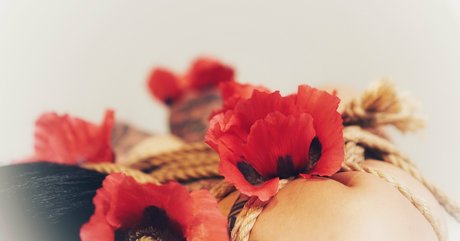 sugarskull bri adult model pic